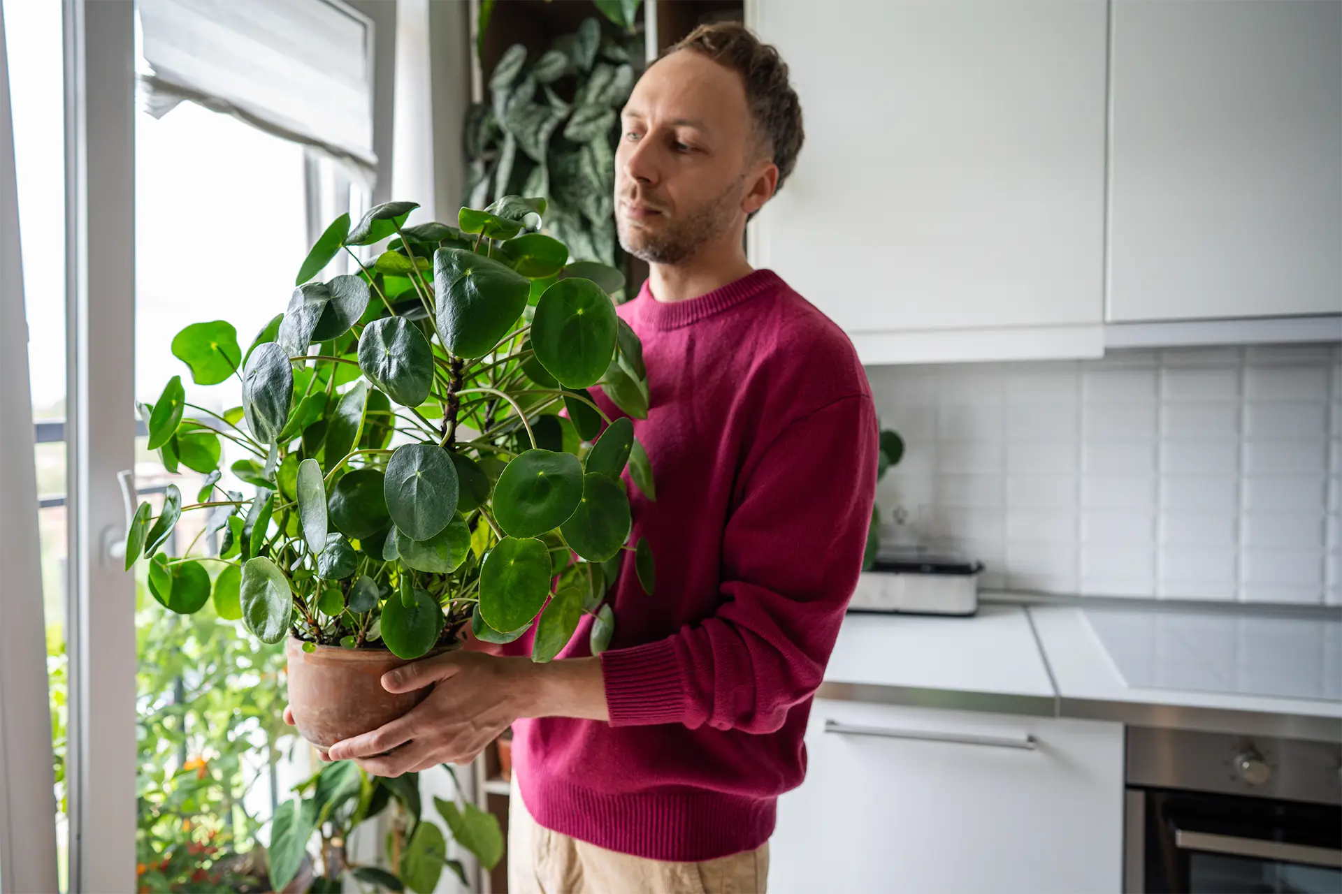 Environmental Health